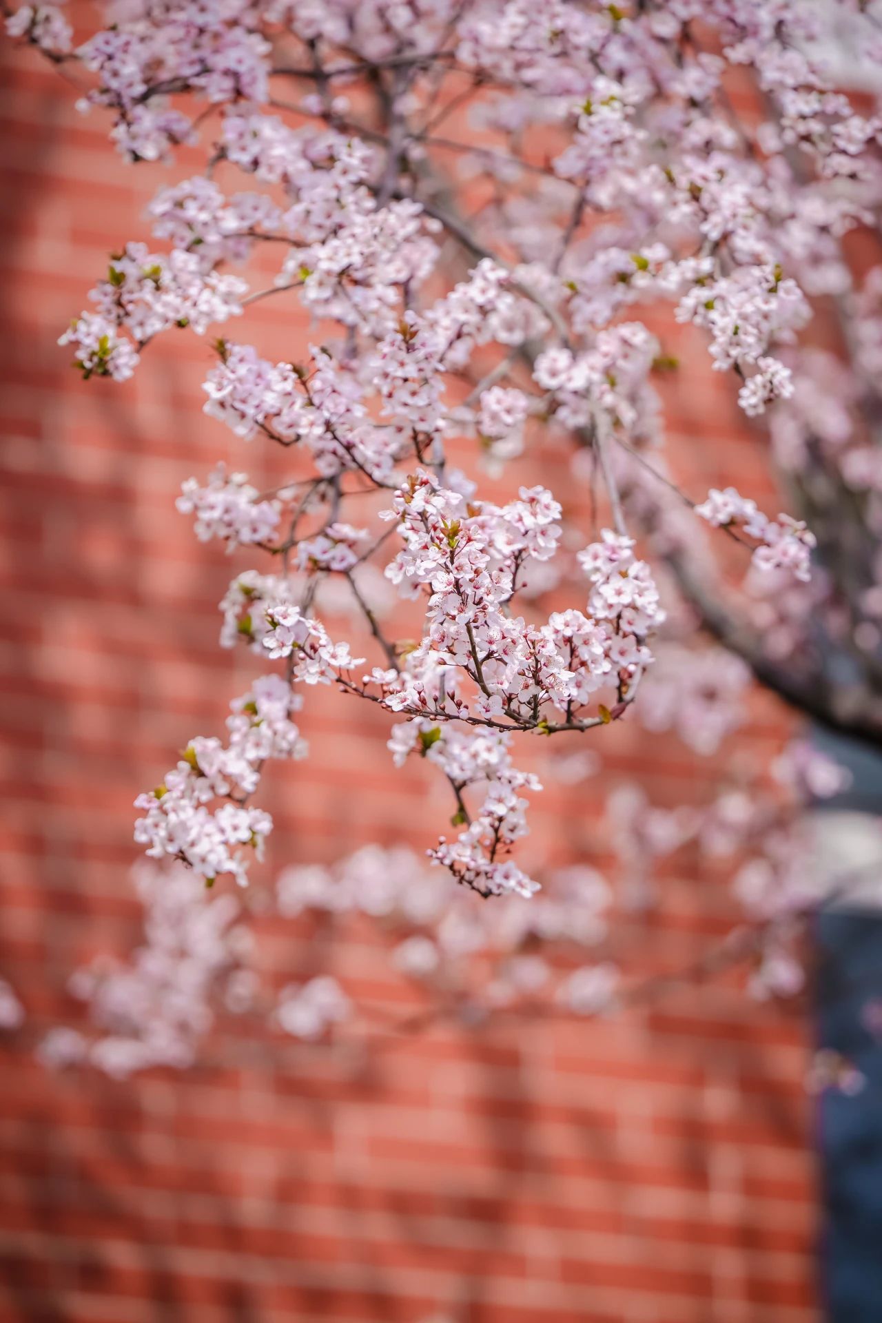 云南经济管理学院春季学期开学! 第 10 张 云南经济管理学院春季学期开学! 第 10 张