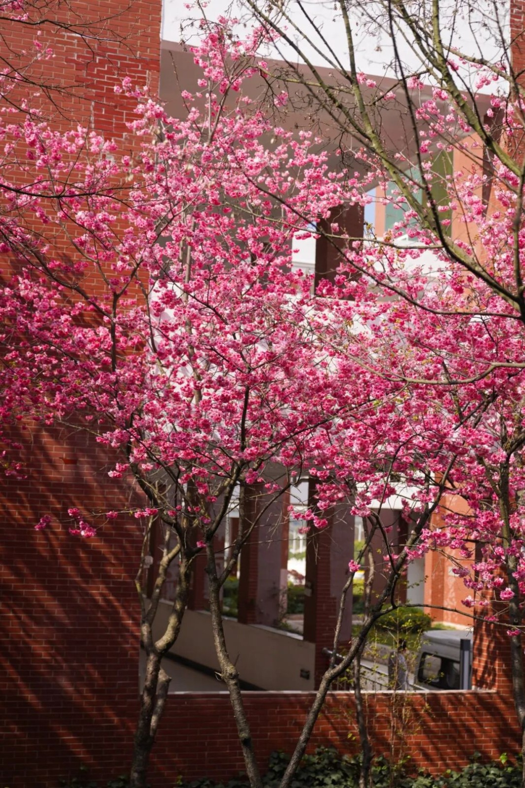 今天，云经管开学第一天！ 第 12 张